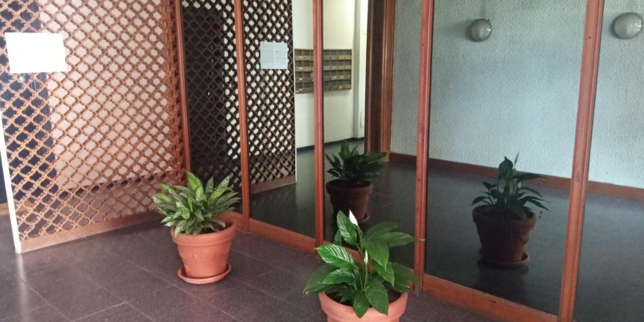 Aurelia - Apartment Begonia Rzym Zewnętrze zdjęcie