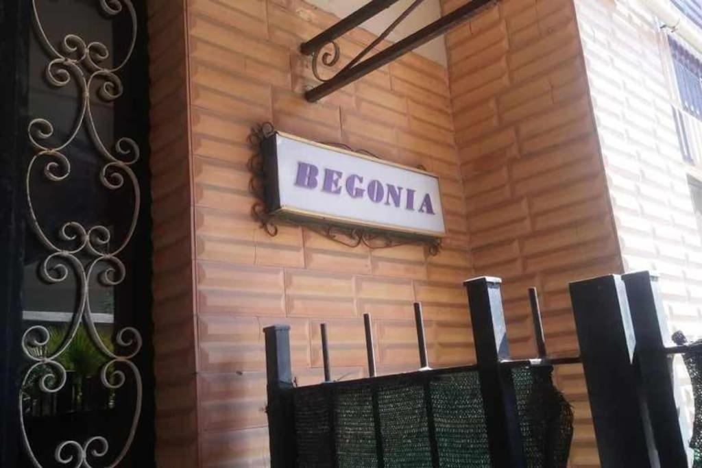 Aurelia - Apartment Begonia Rzym Zewnętrze zdjęcie